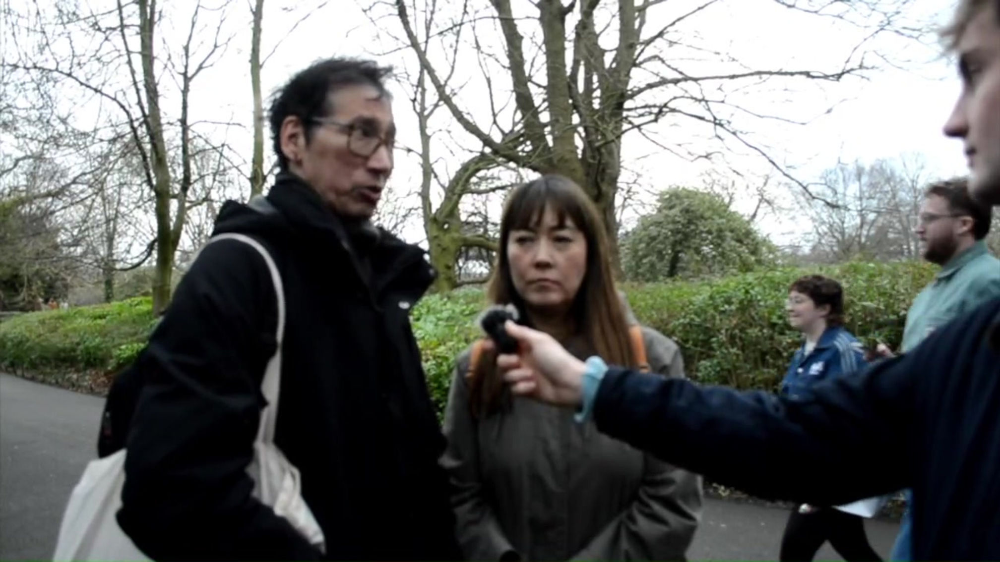 Voxpop 6 landscape